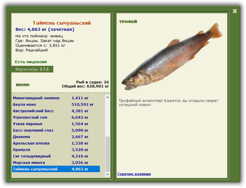 Учимся использовать BBcode в сообщениях 