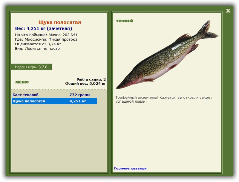 Учимся использовать BBcode в сообщениях 