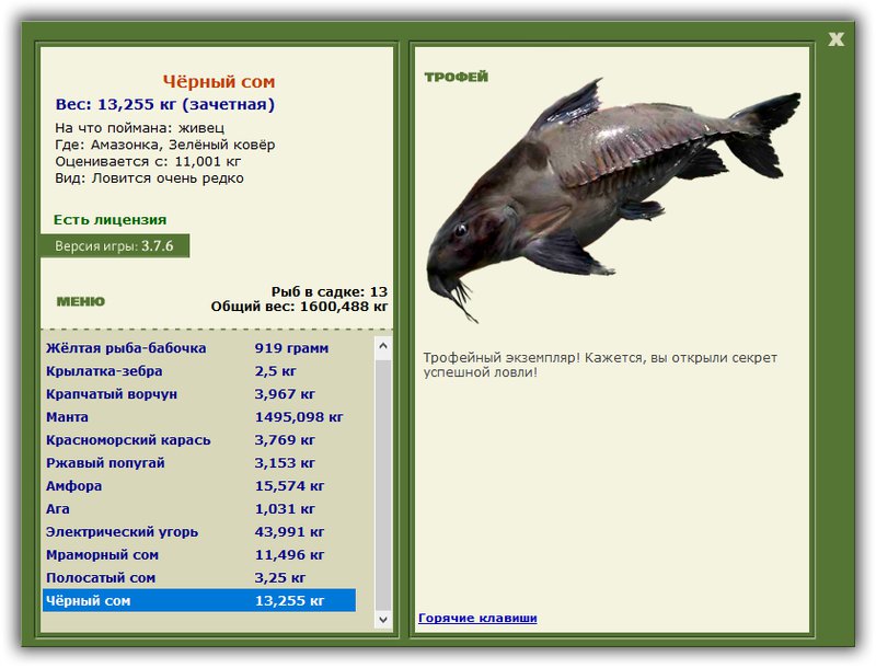 РУССКАЯ РЫБАЛКА Installsoft Edition 