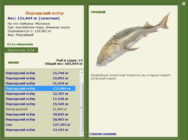 Персидский осётр 