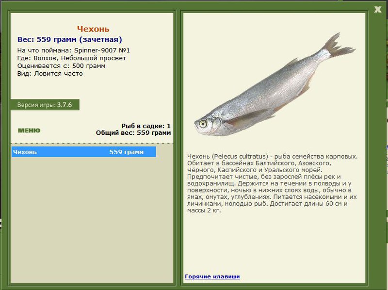 РУССКАЯ РЫБАЛКА Installsoft Edition 