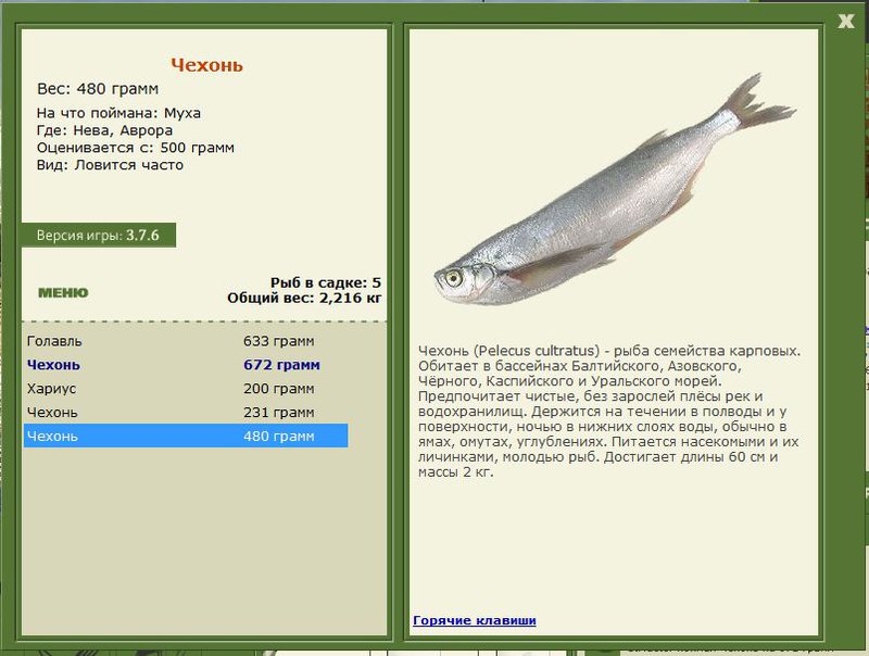 РУССКАЯ РЫБАЛКА Installsoft Edition 