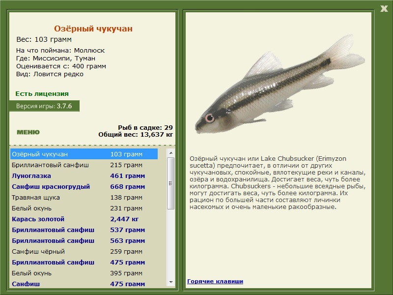 турниры • РУССКАЯ РЫБАЛКА