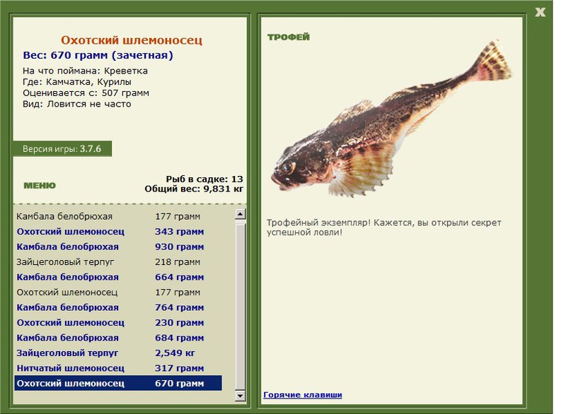 Охотский шлемоносец 