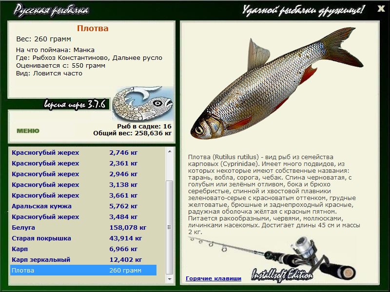 турниры • РУССКАЯ РЫБАЛКА