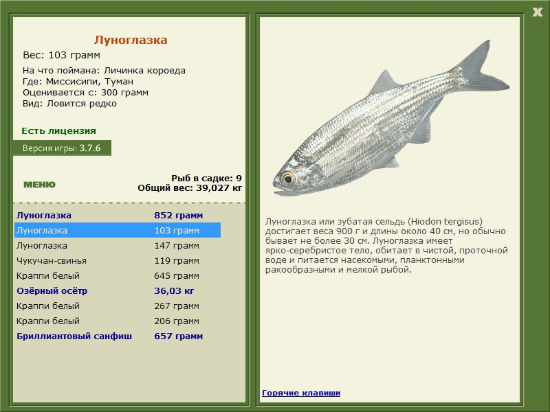 турниры • РУССКАЯ РЫБАЛКА