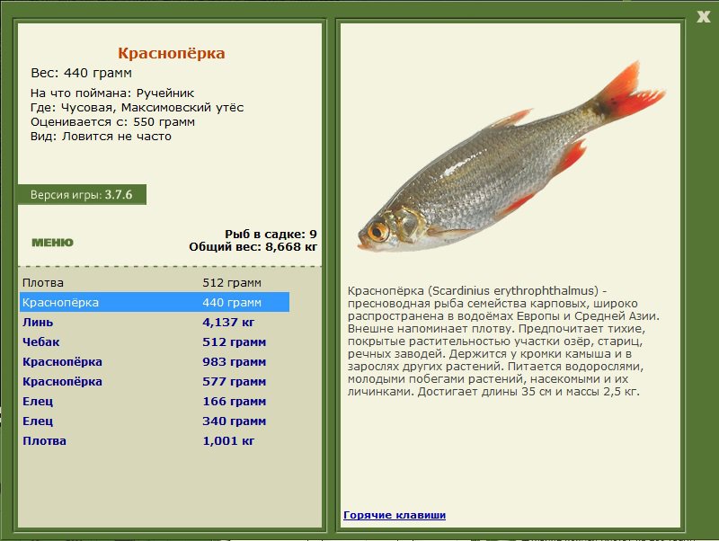 турниры • РУССКАЯ РЫБАЛКА