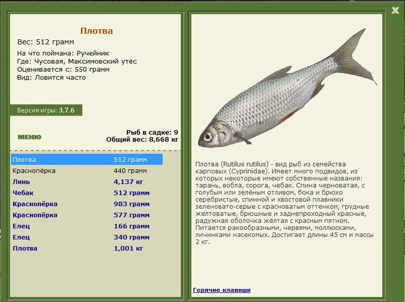 турниры • РУССКАЯ РЫБАЛКА