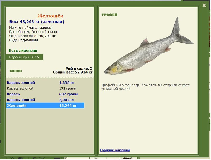 Желтощёк 