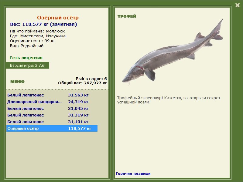 Озёрный осётр 