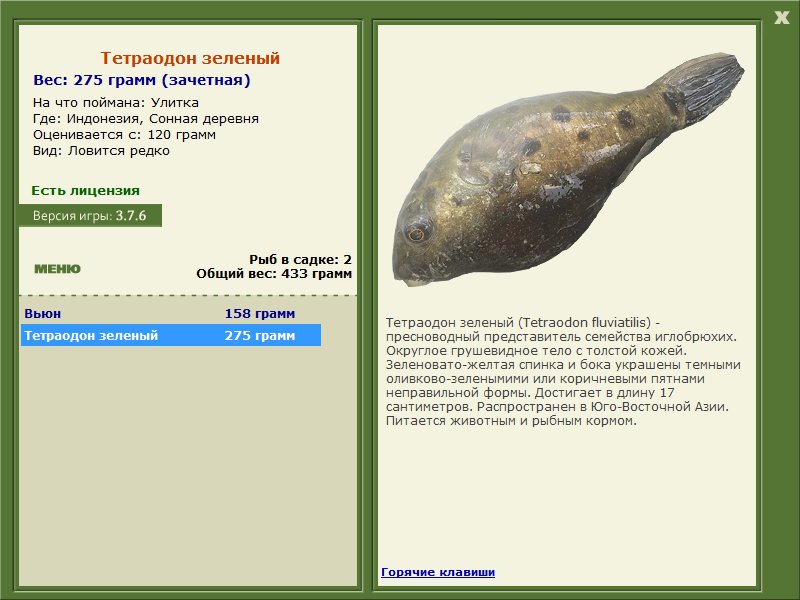 Заявки на рекорд 