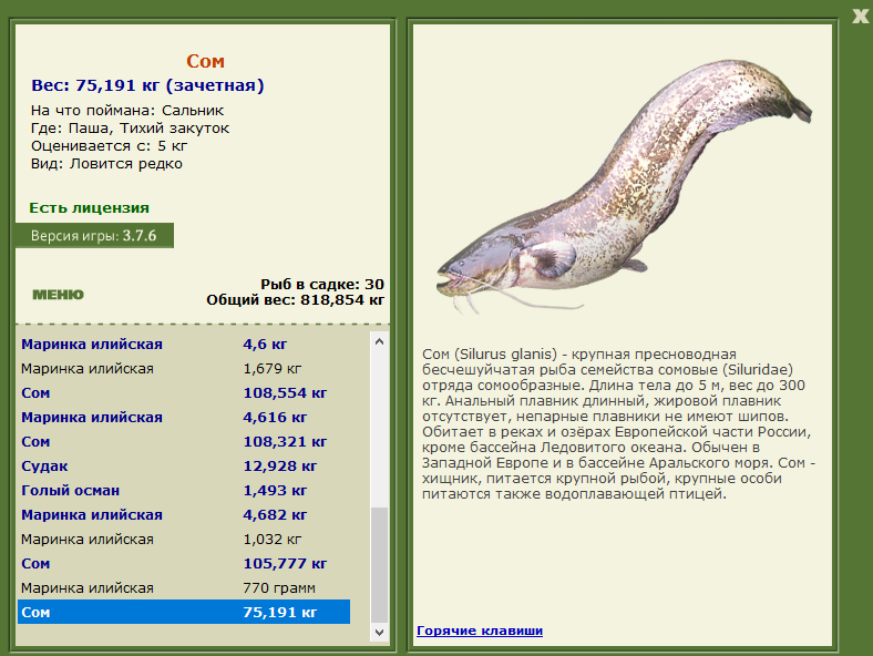 Тихий закуток 