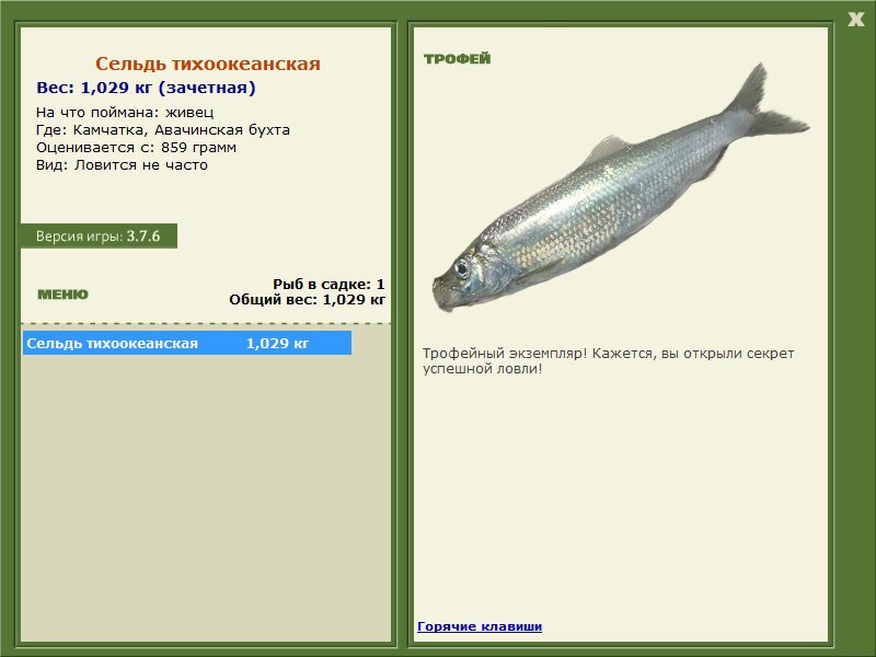 турниры • РУССКАЯ РЫБАЛКА