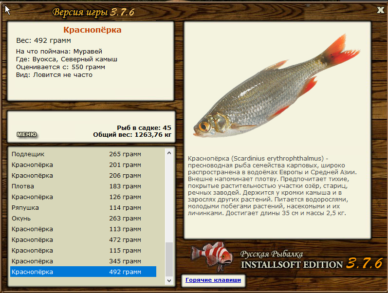 турниры • РУССКАЯ РЫБАЛКА