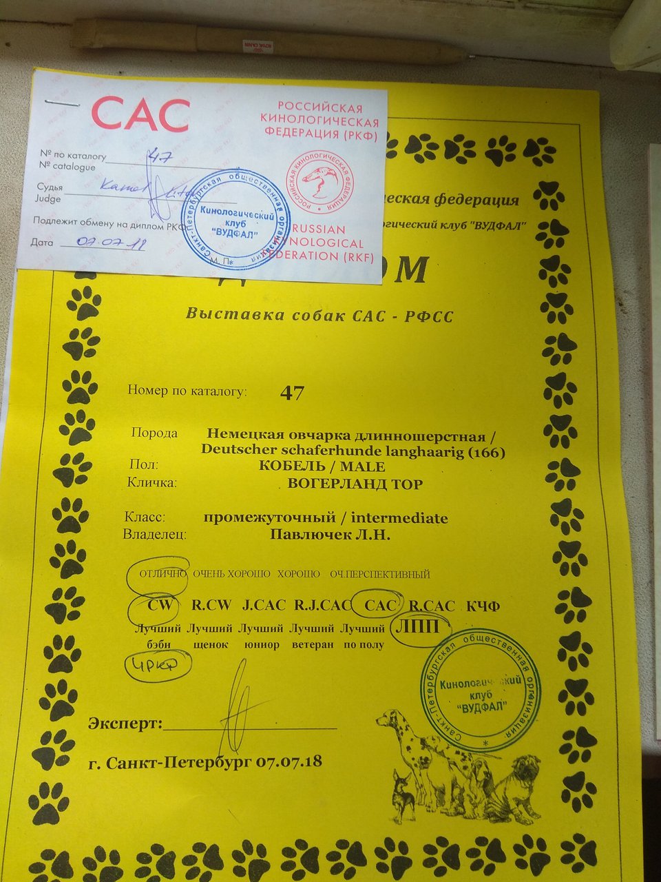  Мелодия Белой Ночи из Петергофа