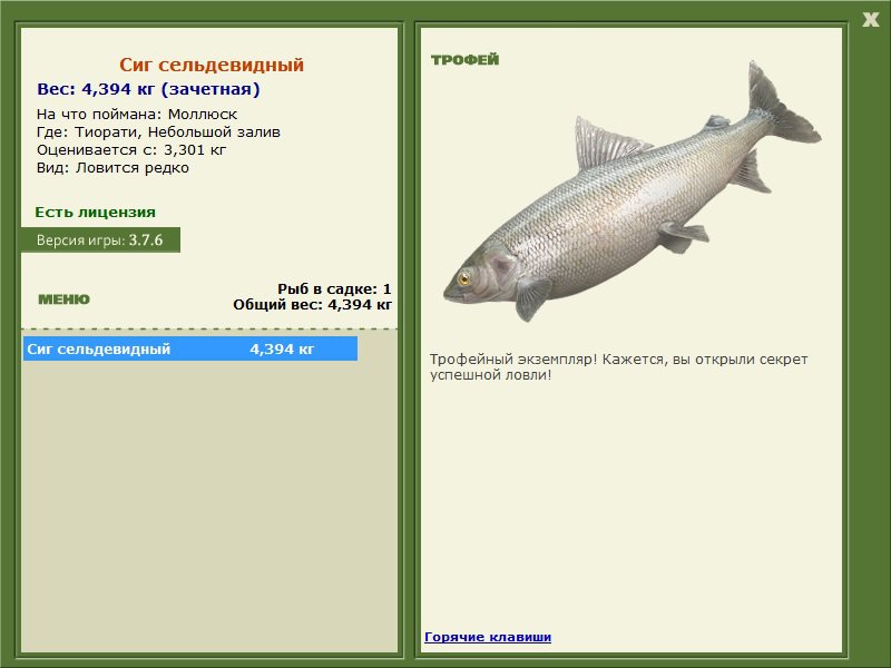 Небольшой залив 