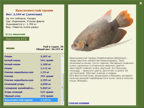 РУССКАЯ РЫБАЛКА Installsoft Edition 