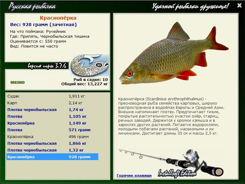Чернобыльская тишина 