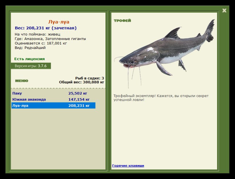 Учимся использовать BBcode в сообщениях 