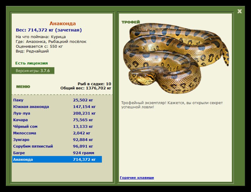 Учимся использовать BBcode в сообщениях 