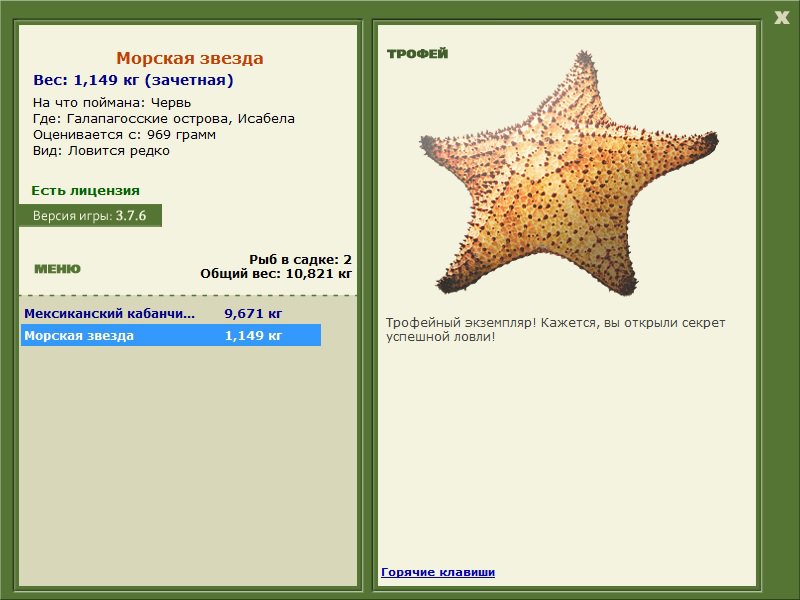 Морская звезда 