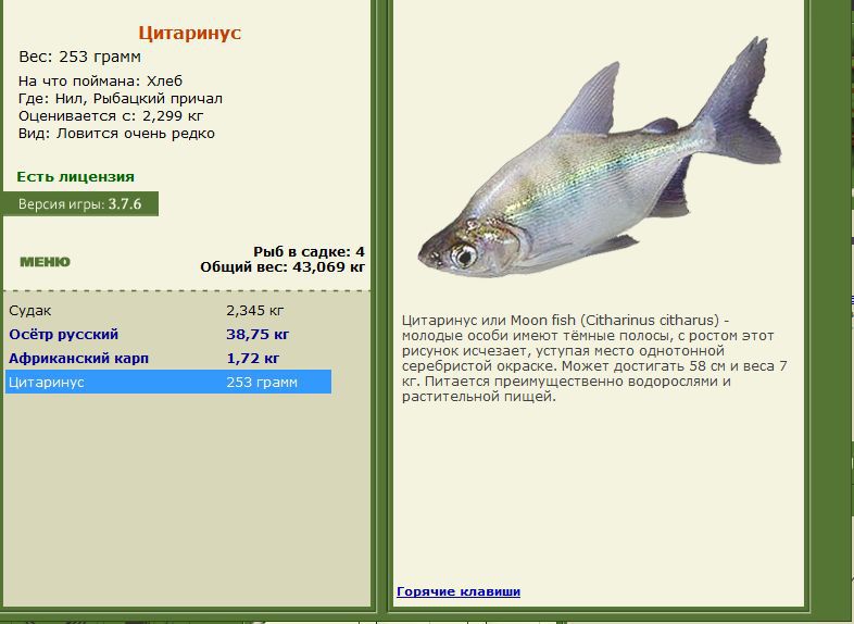 РУССКАЯ РЫБАЛКА Installsoft Edition 