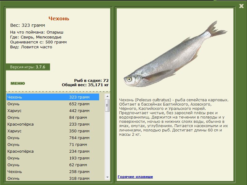 турниры • РУССКАЯ РЫБАЛКА