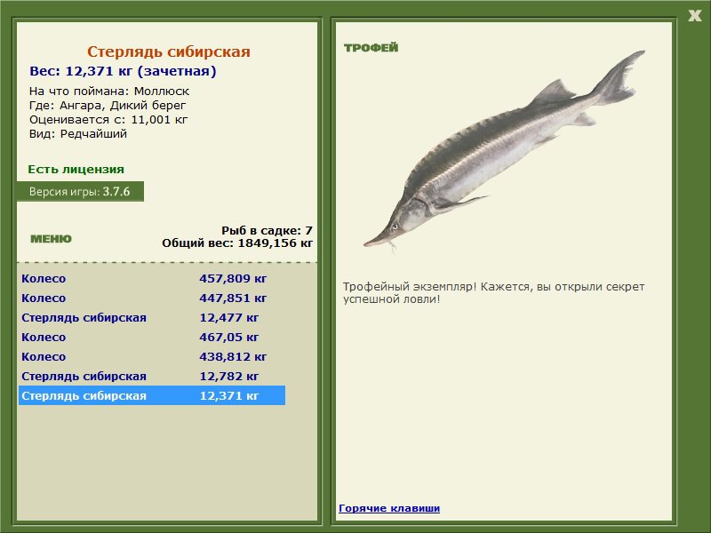 Дикий берег 