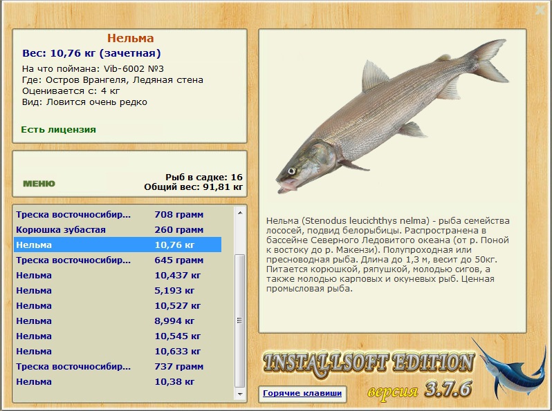 Ледяная стена 