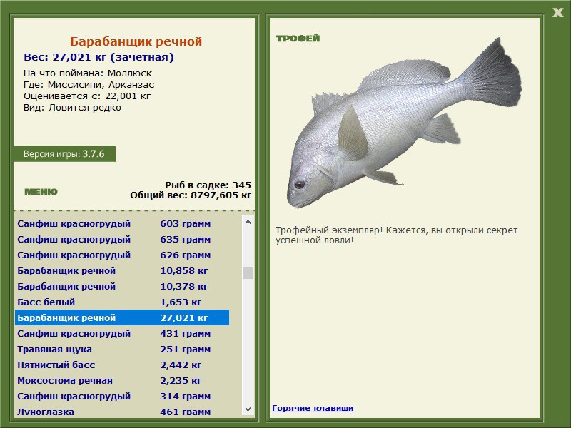 Барабанщик речной 