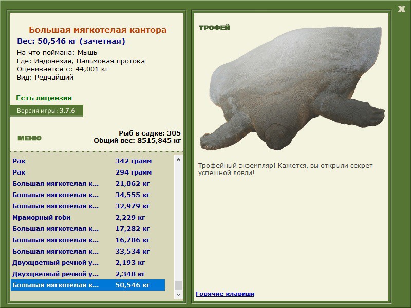 Большая мягкотелая кантора 