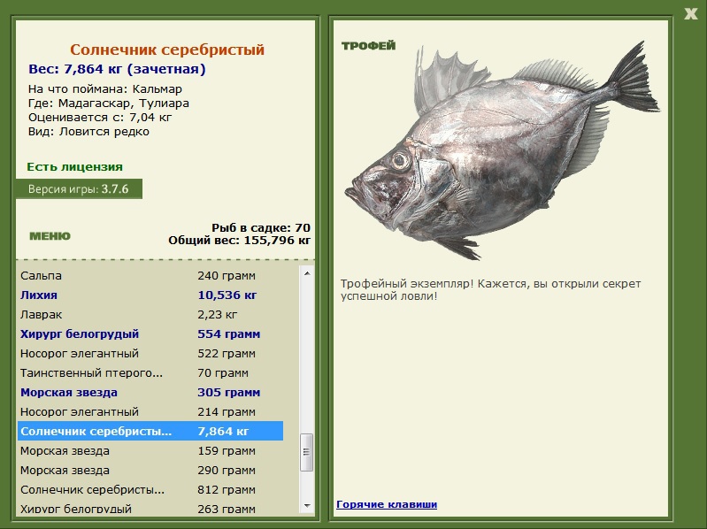 Солнечник серебристый 