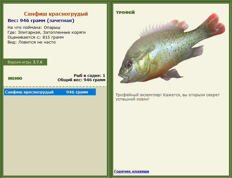 турниры • РУССКАЯ РЫБАЛКА