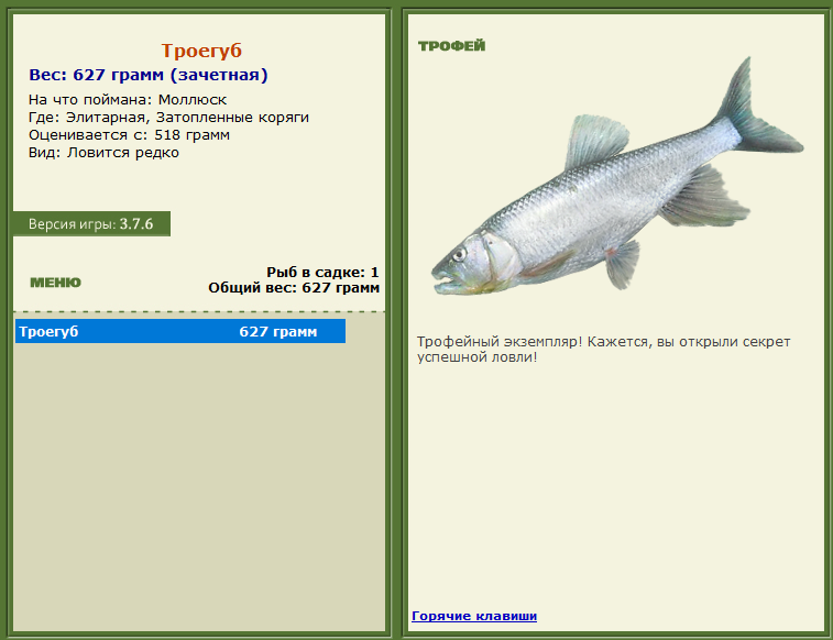 турниры • РУССКАЯ РЫБАЛКА