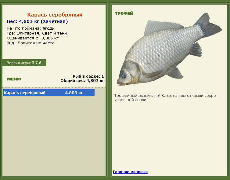 турниры • РУССКАЯ РЫБАЛКА