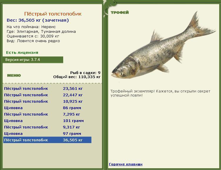 турниры • РУССКАЯ РЫБАЛКА