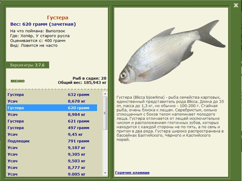 турниры • РУССКАЯ РЫБАЛКА