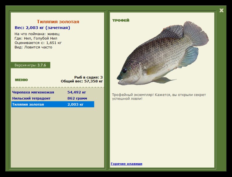 Учимся использовать BBcode в сообщениях 