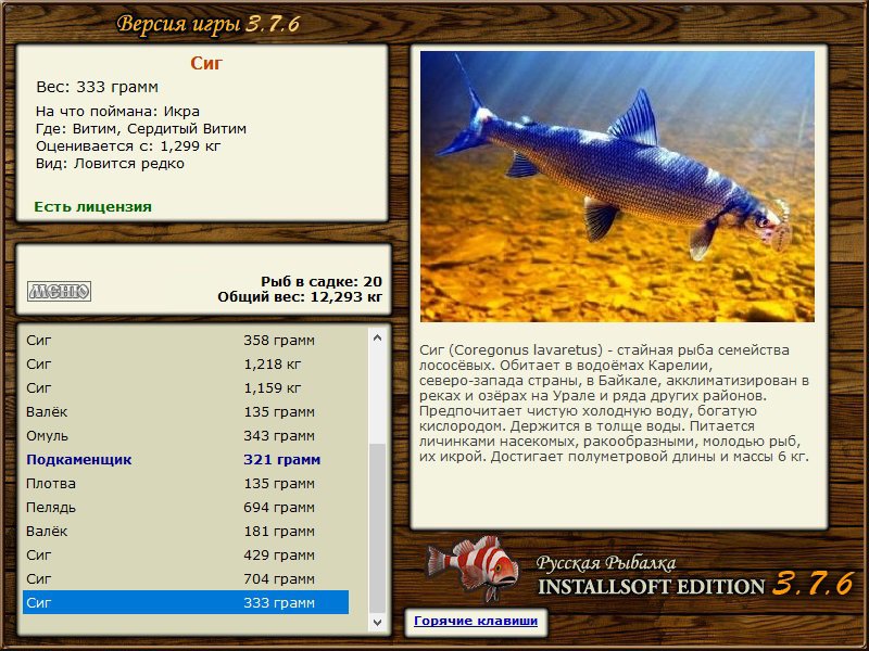 Сердитый Витим 