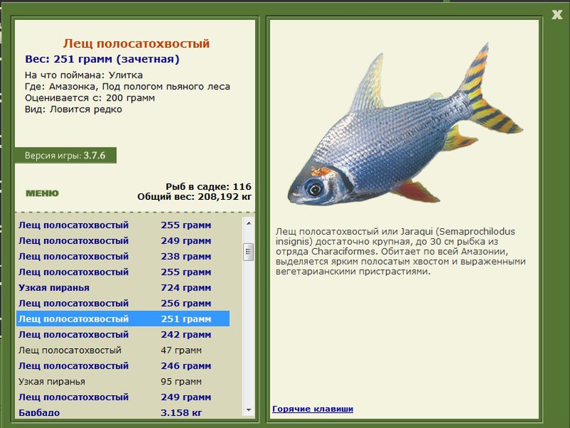 турниры • РУССКАЯ РЫБАЛКА