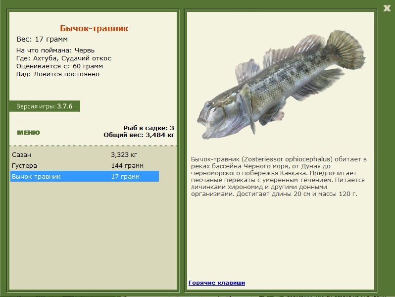 турниры • РУССКАЯ РЫБАЛКА