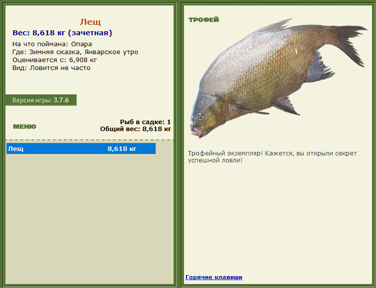 турниры • РУССКАЯ РЫБАЛКА