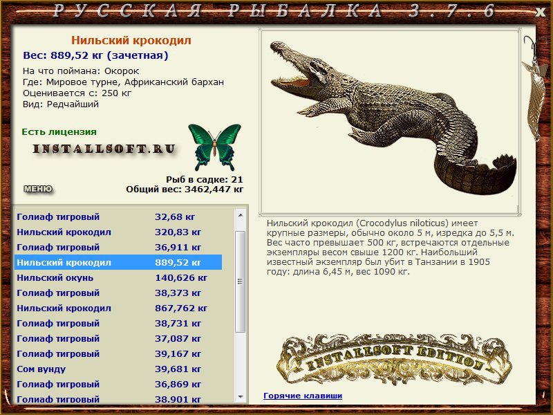 Африканский бархан 