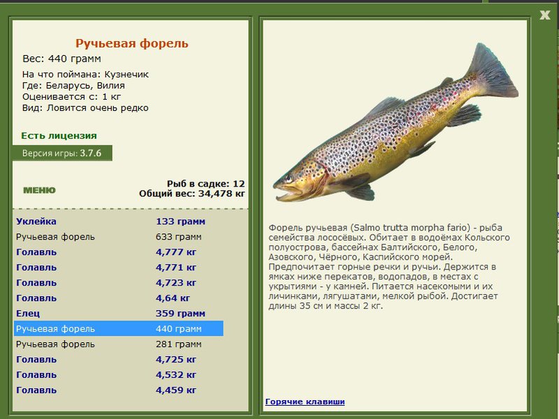 турниры • РУССКАЯ РЫБАЛКА