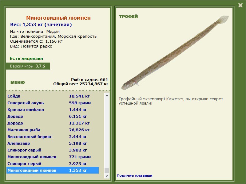 Миноговидный люмпен 