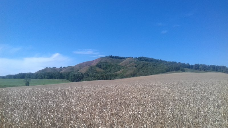  Страница 9 - Форум \\