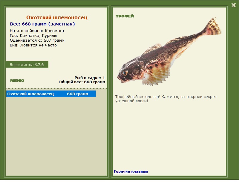 Охотский шлемоносец 