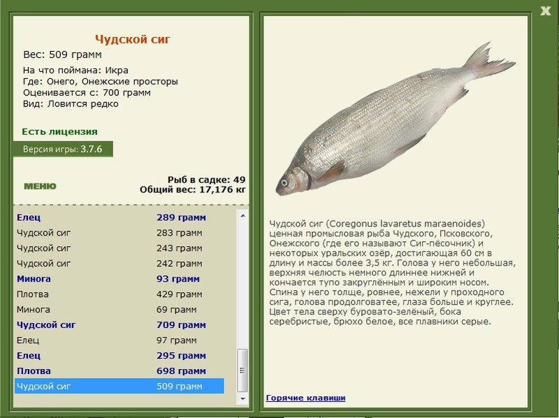Онежские просторы 