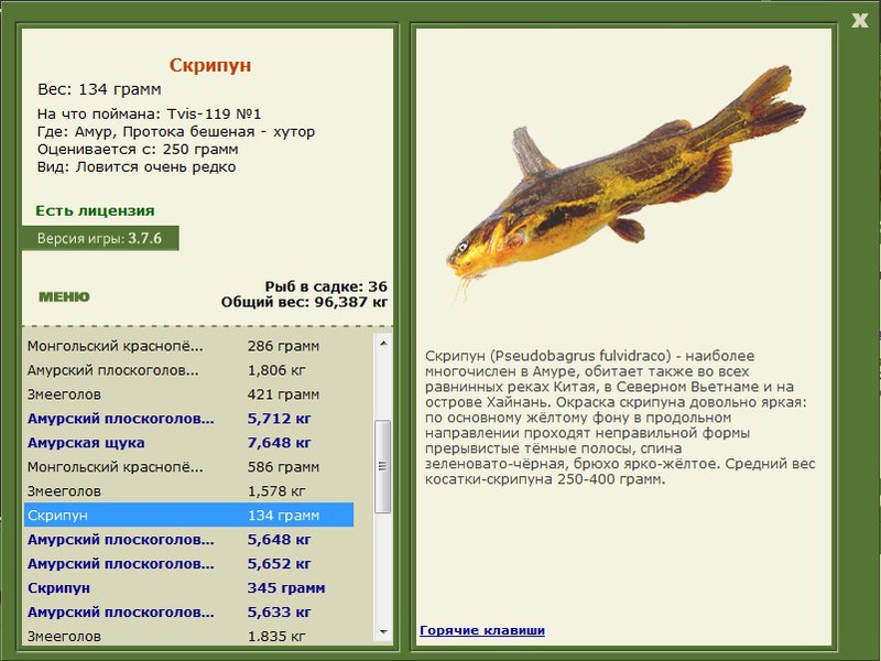 турниры • РУССКАЯ РЫБАЛКА
