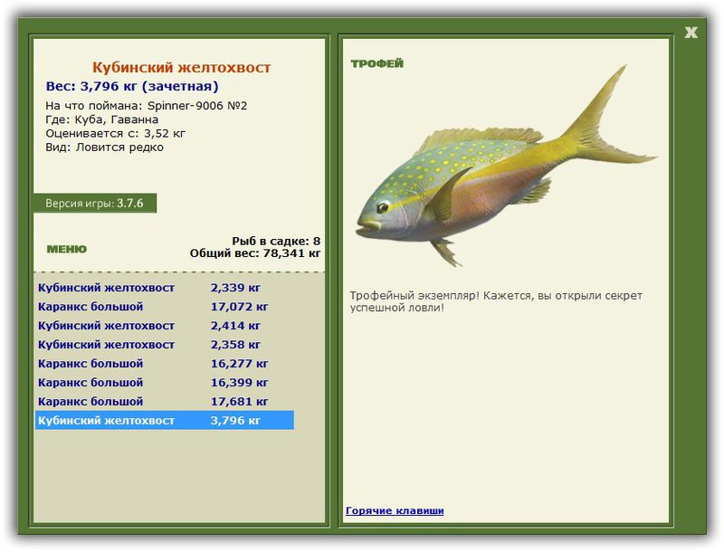 Кубинский желтохвост 